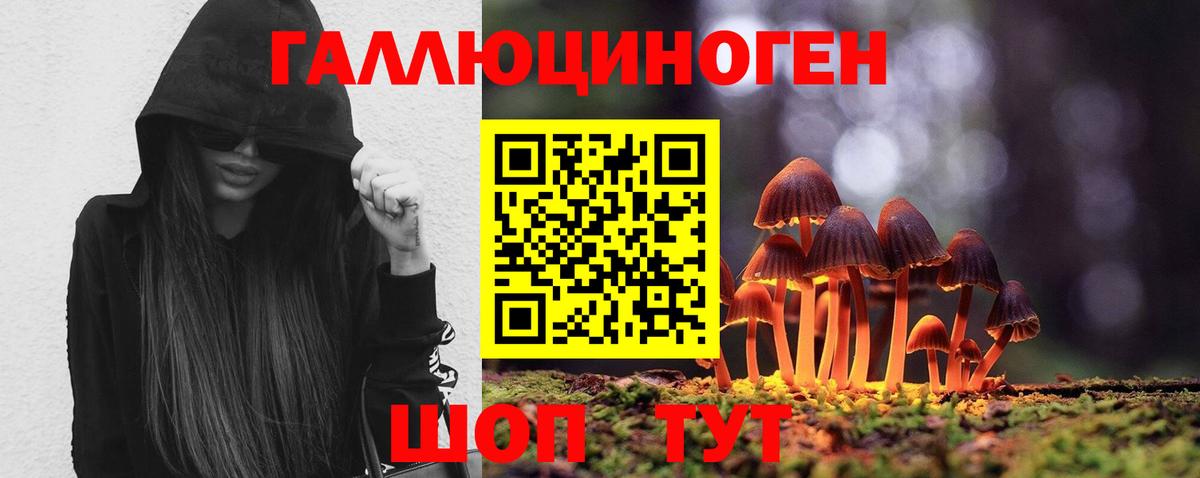 Галлюциногенные грибы Cubensis Холмск