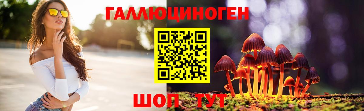 Холмск  Галлюциногенные грибы Magic Shrooms  Вход с VPN 